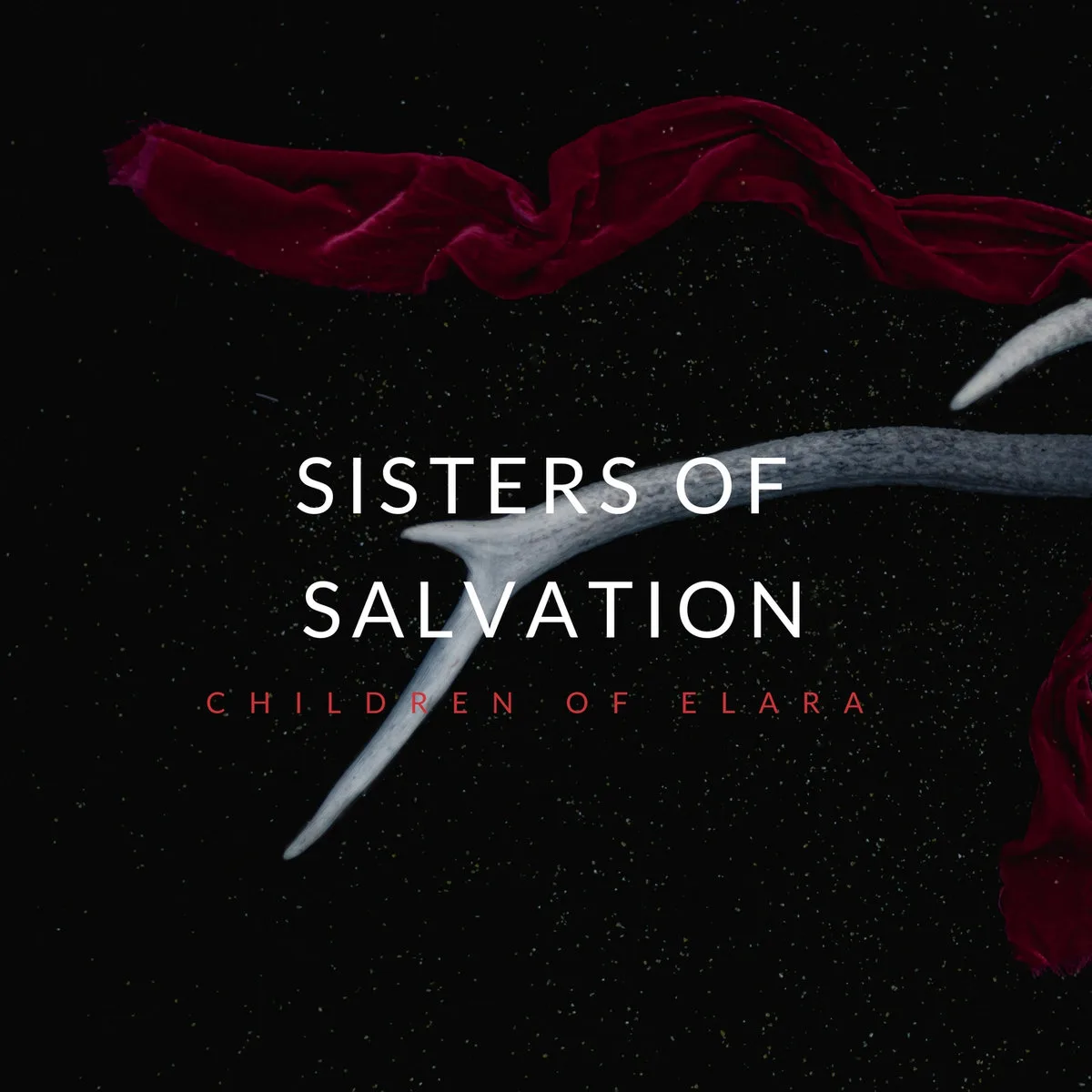 Sisters of Salvation cover