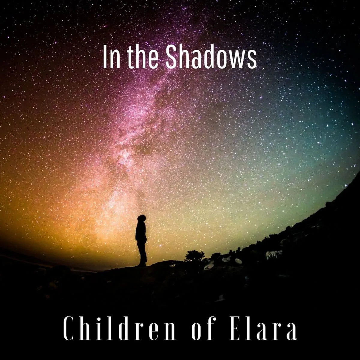 In the Shadows cover