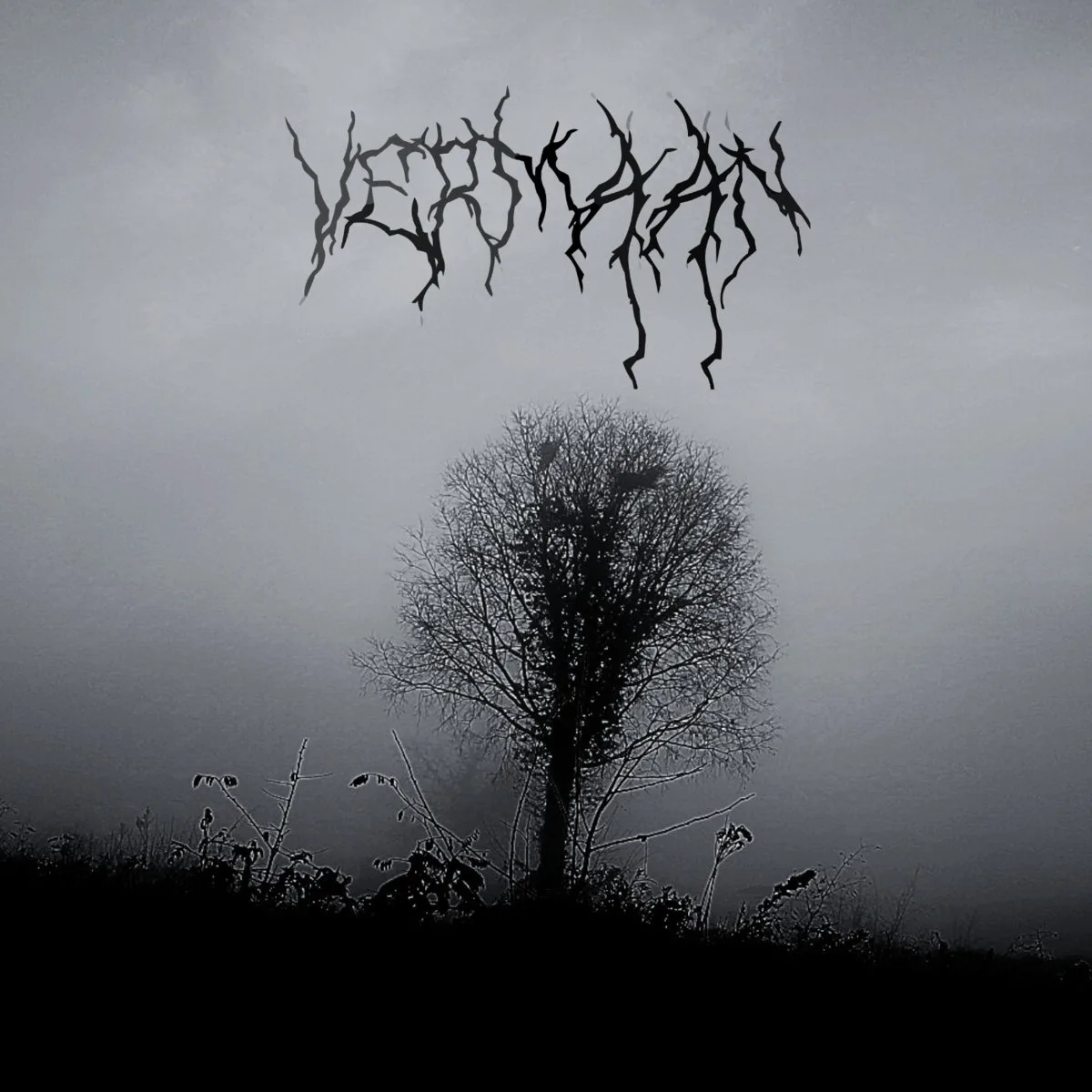Vermaan cover