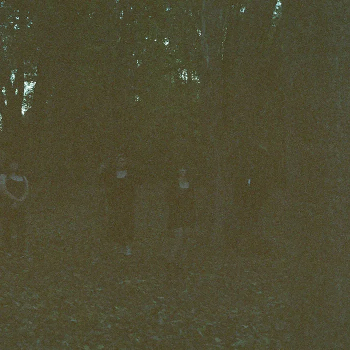 Nature Takes Its Course cover