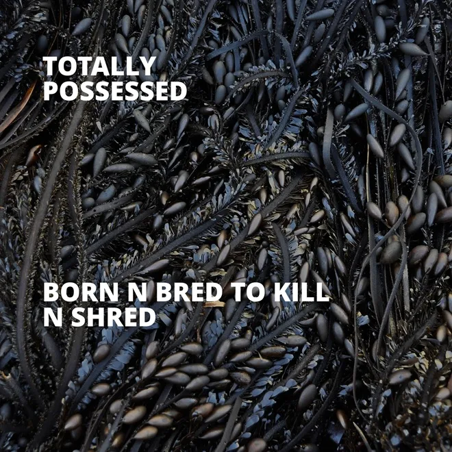 Born n Bred to Kill n Shred cover