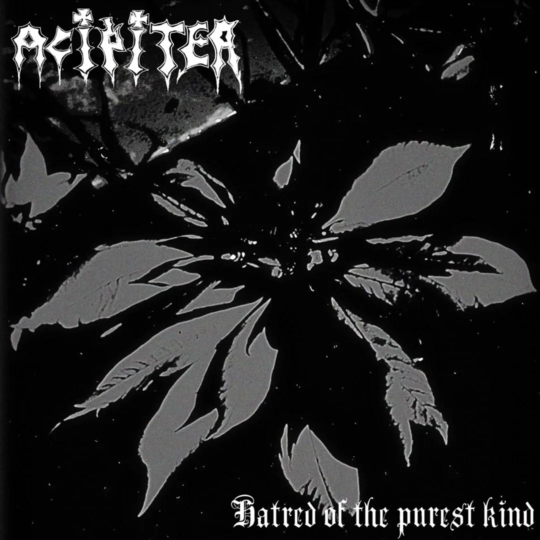 Hatred of the Purest Kind cover