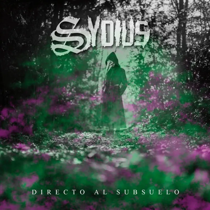 Directo al subsuelo cover