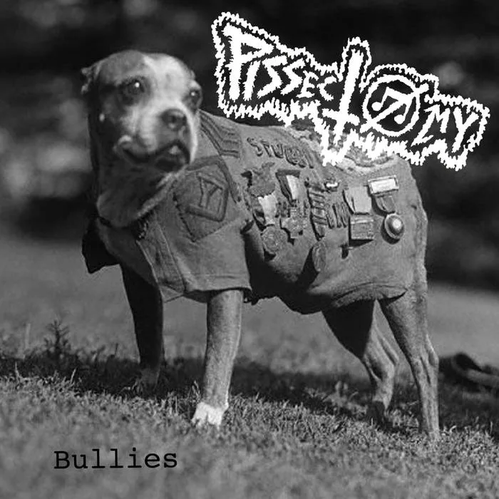 Bullies cover