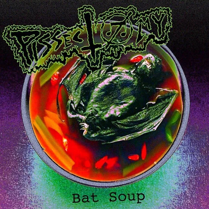 Bat Soup cover