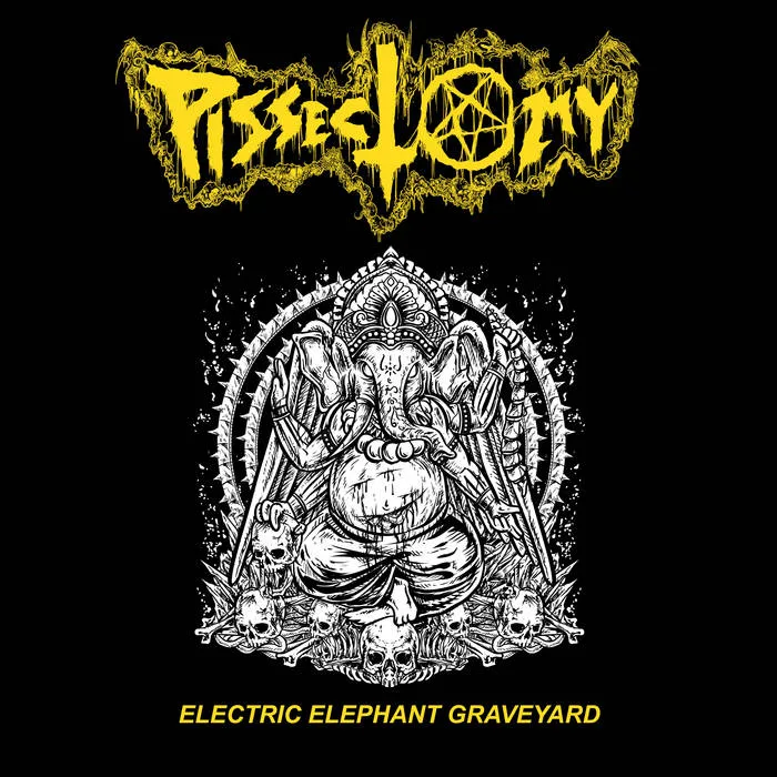 Electric Elephant Graveyard cover