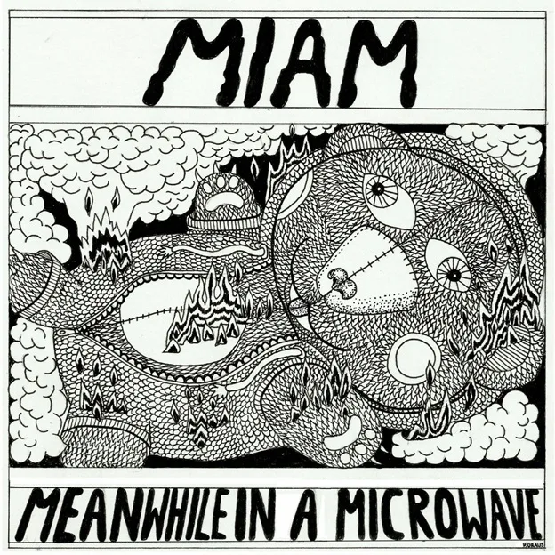 Meanwhile in a Microwave cover