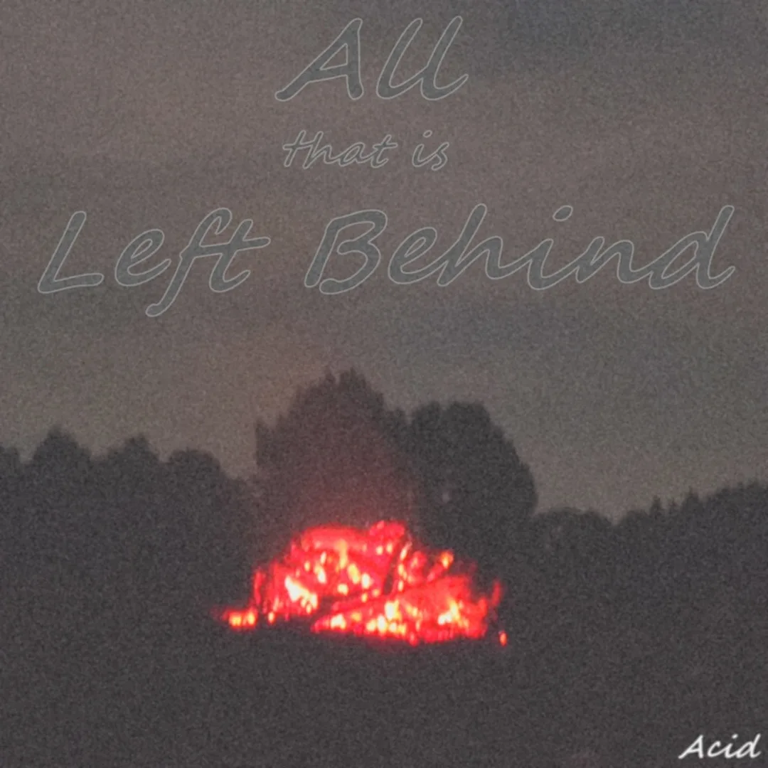 All That Is Left Behind cover