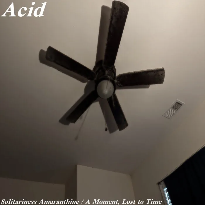 Solitariness Amaranthine / A Moment, Lost to Time cover