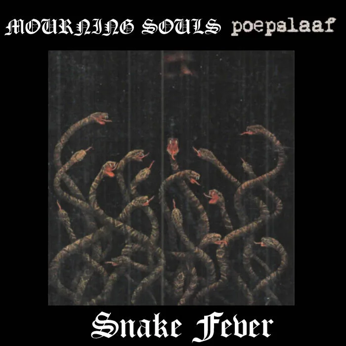 Snake Fever cover