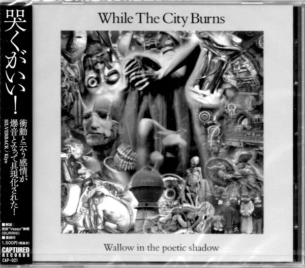 Wallow in the Poetic Shadow cover