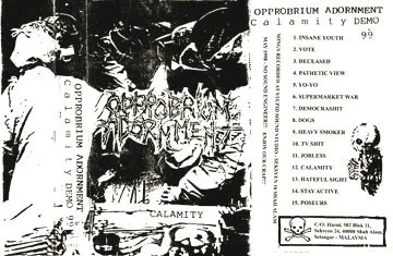 Calamity cover