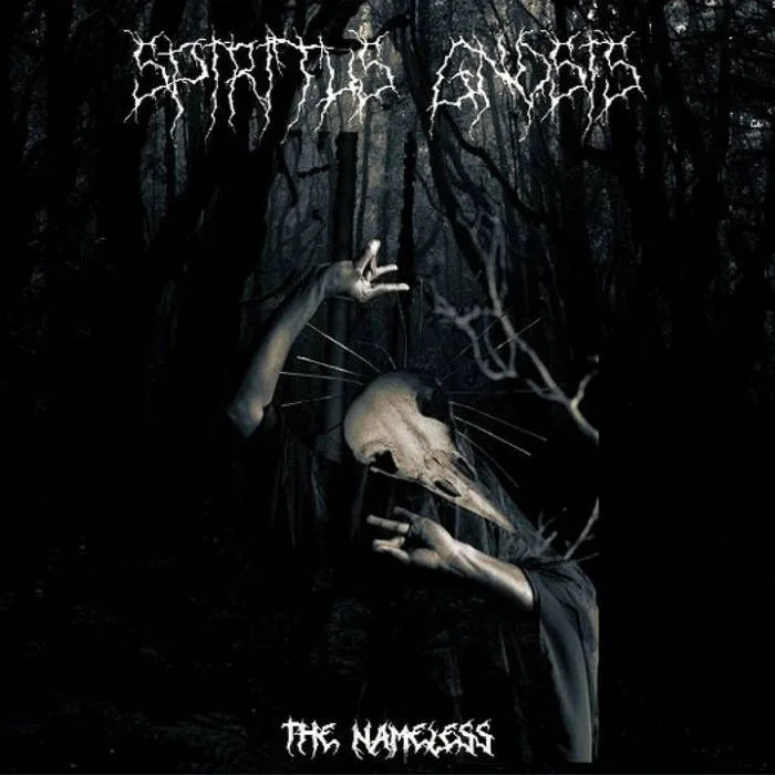 The Nameless cover