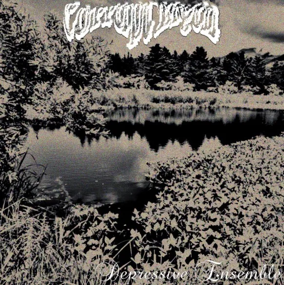 Depressive Ensemble cover