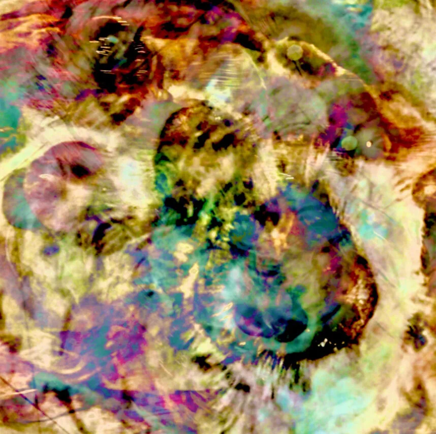 Entering the Hypersphere cover