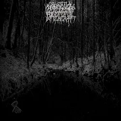 Celestial Witchcraft cover