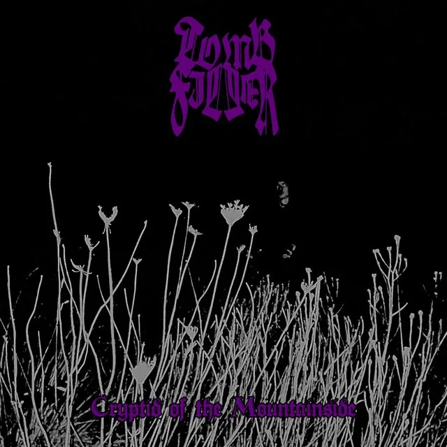 Cryptid of the Mountainside cover