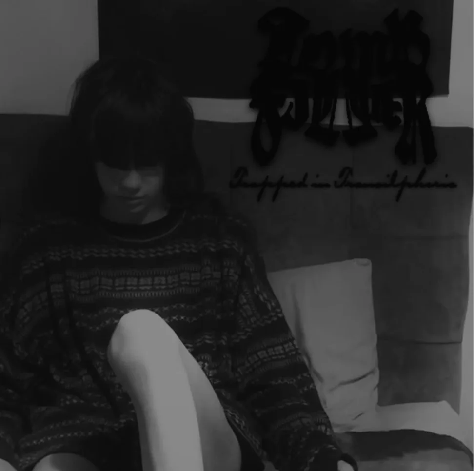 Trapped in Transilphoria cover