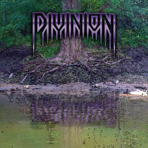 Divinion cover