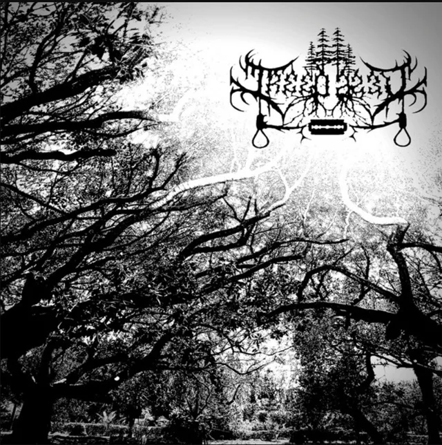 In the Bleeding Skies of Cold Thrones cover