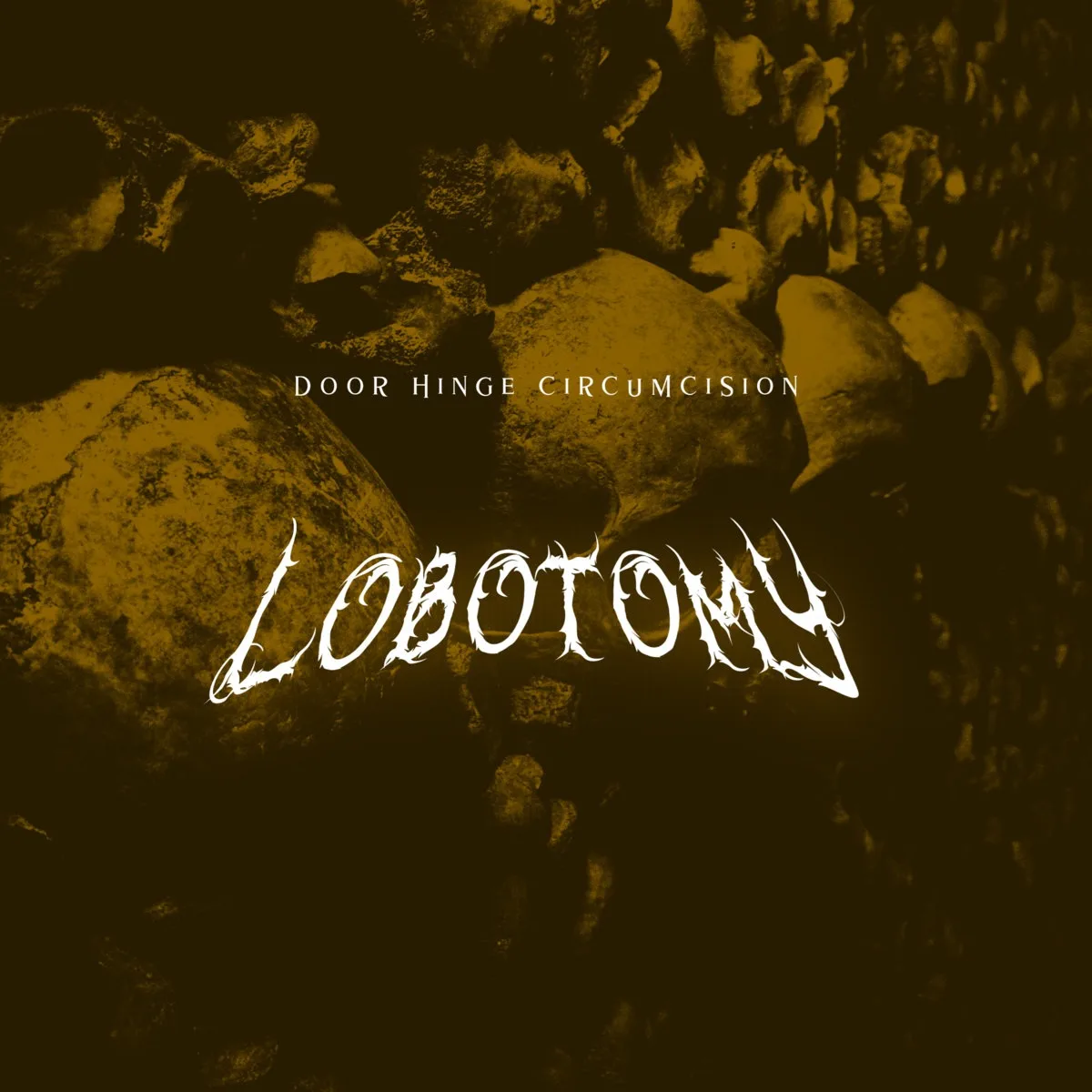 Lobotomy cover