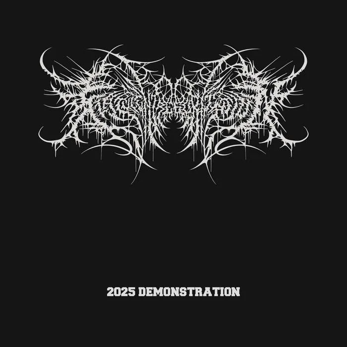 2025 Demonstration cover