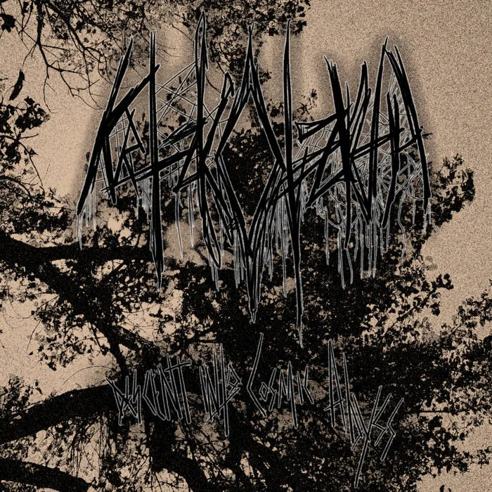 Descent into Cosmic Abyss cover