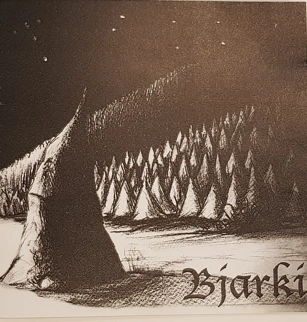Bjarki cover