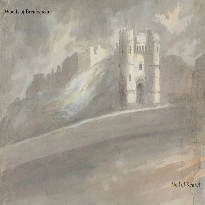 Veil of Regret cover