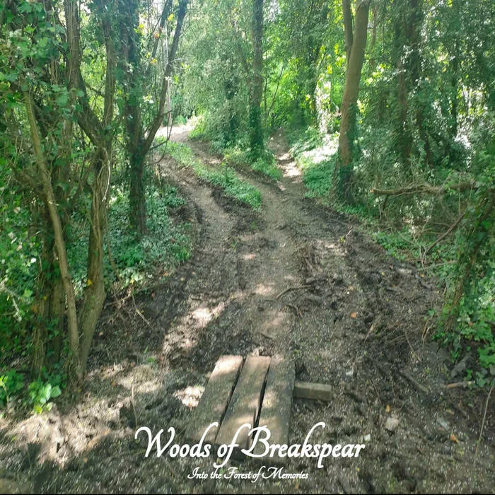 Into the Forest of Memories cover