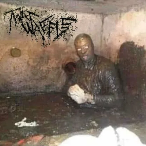 Sewage Spa cover