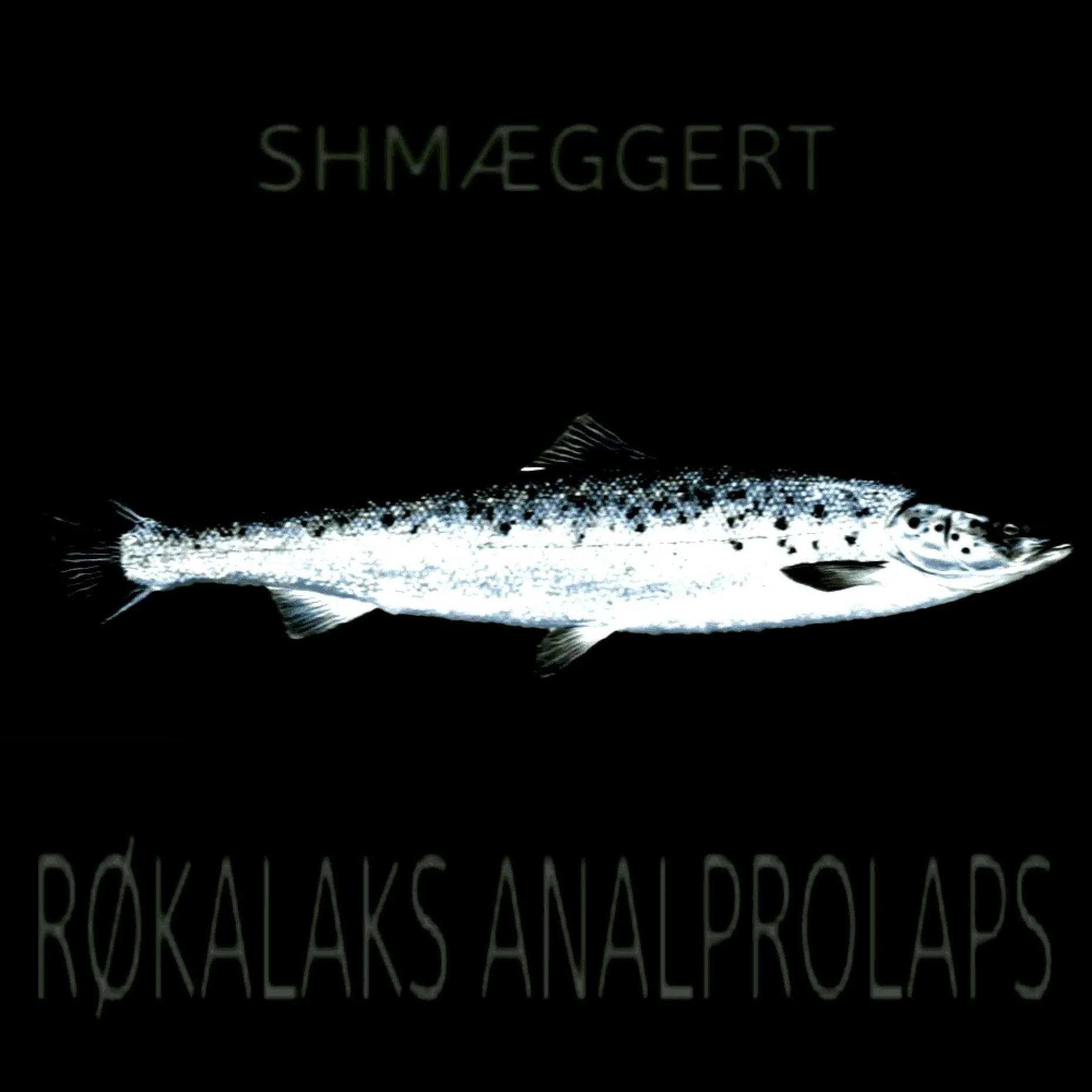 Røkalaks Analprolaps cover