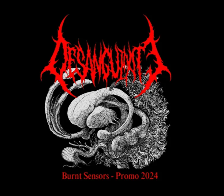 Burnt Sensors - Promo 2024 cover