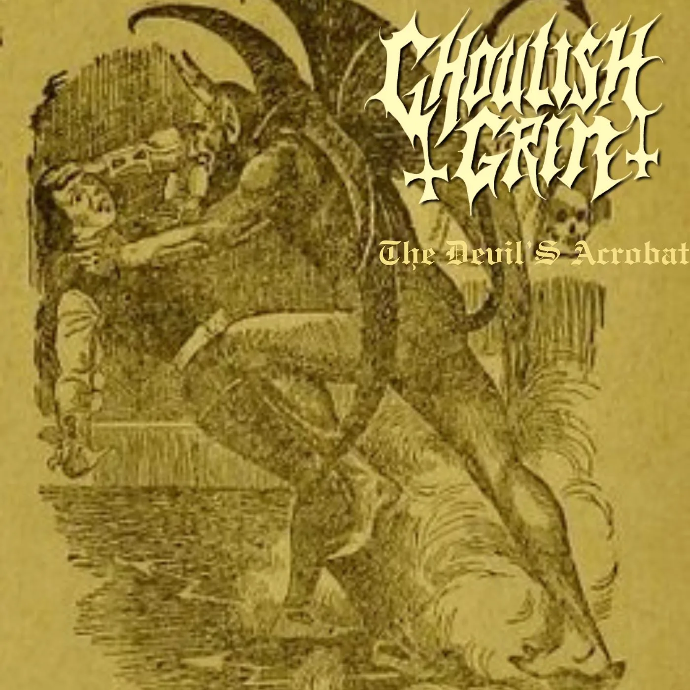 The Devil's Acrobat cover