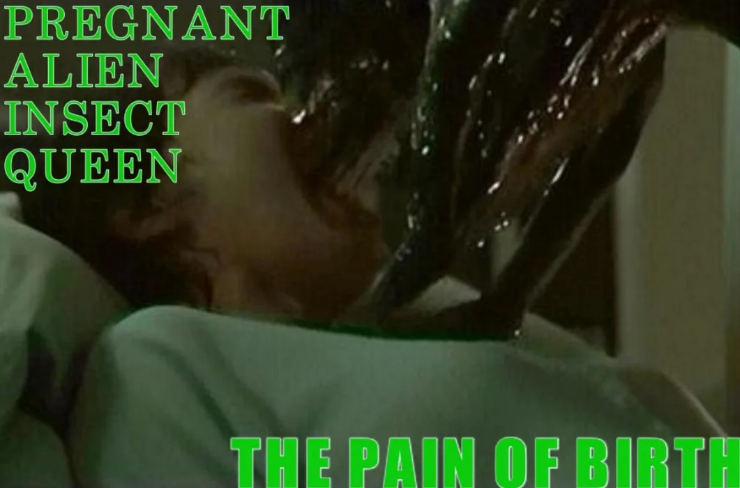 The Pain of Birth cover