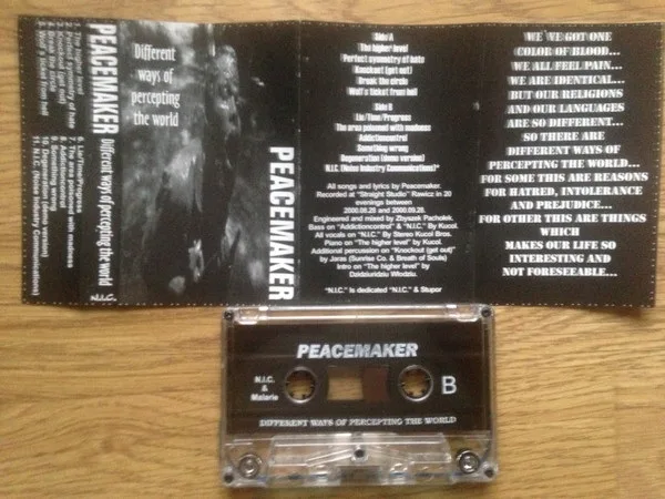 Different Ways of Percepting the World cover