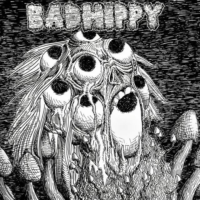 H/H cover