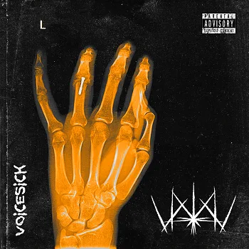 Voicesick cover