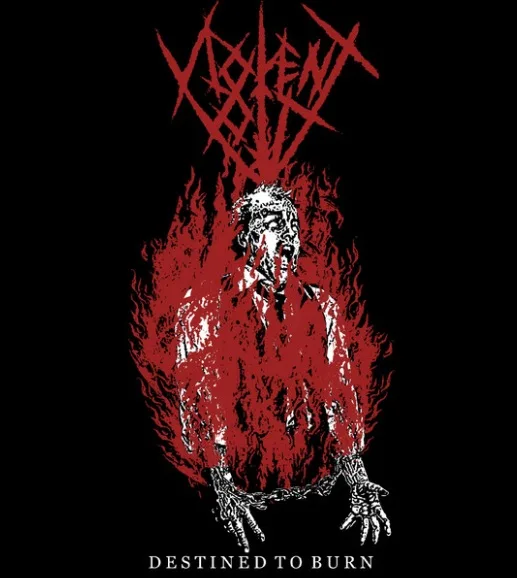 Destined to Burn cover