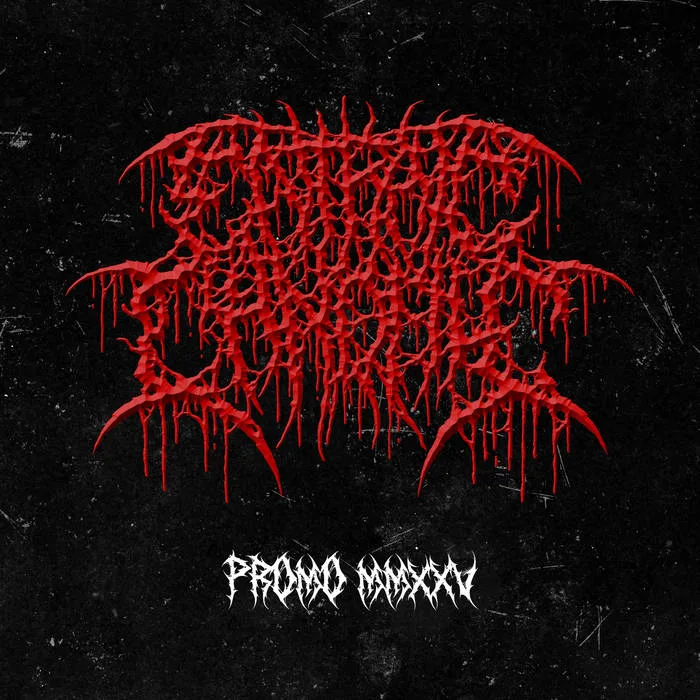 Promo 2025 cover