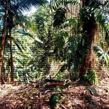 O Ar nos Meus Pulmões / Beautiful World cover