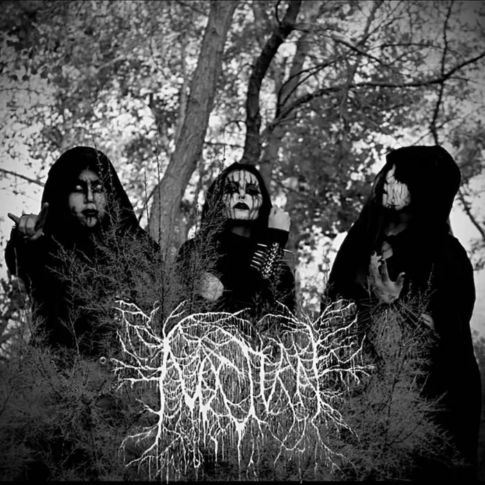 Vengeance cover