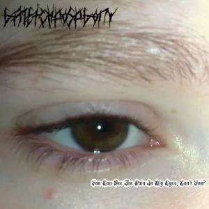 You Can See the Pain in My Eyes, Can't You? cover