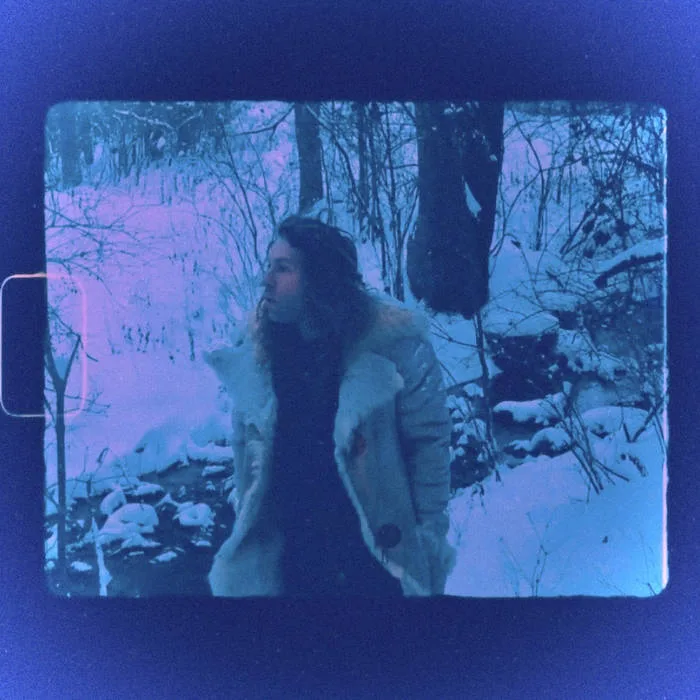 Winter's Womb cover