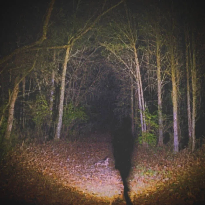 Children of the Night cover