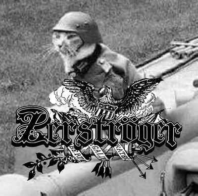 Aryan Patriot cover