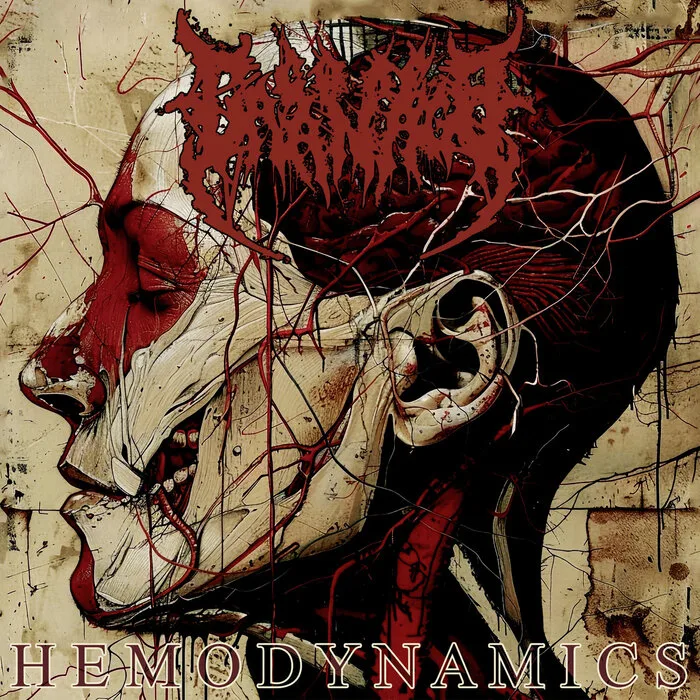 Hemodynamics cover