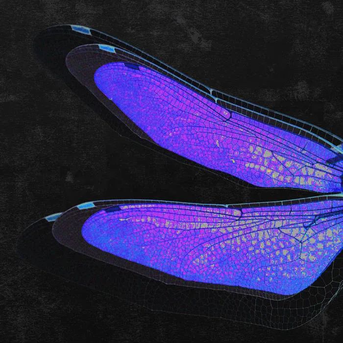 Age of Aquarius cover