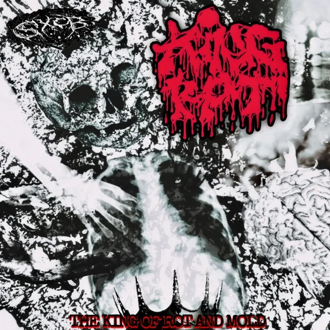 The King of Rot and Mold cover