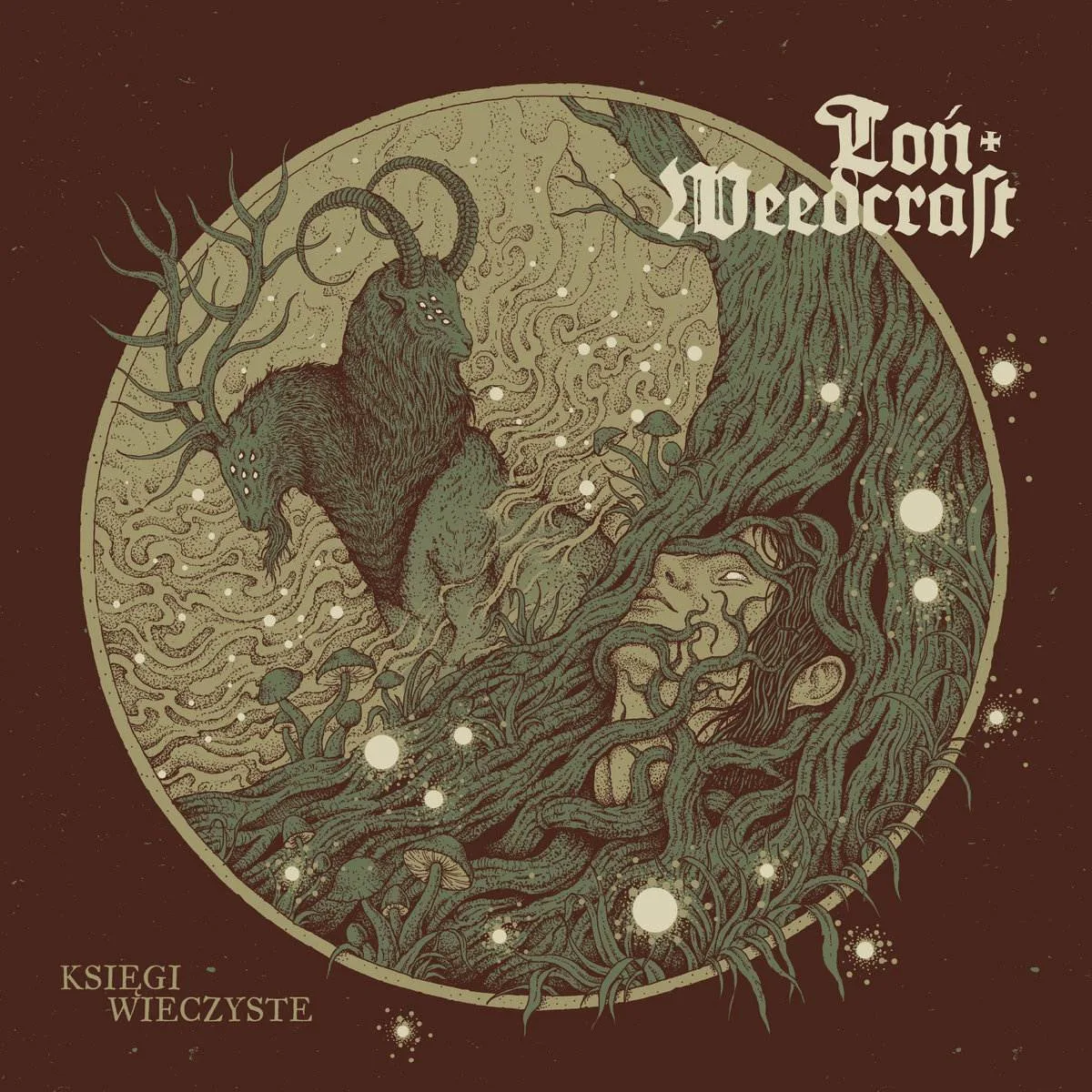 Księgi wieczyste cover